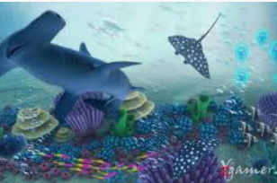 bt365官方体育2024最新版